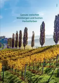 Lagerhaus Graz Land Flugblatt Seite 37