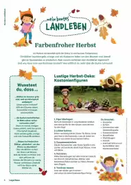 Lagerhaus Graz Land Flugblatt Seite 6