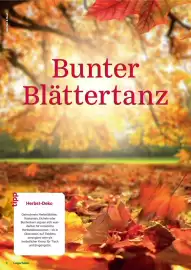 Lagerhaus Graz Land Flugblatt Seite 8