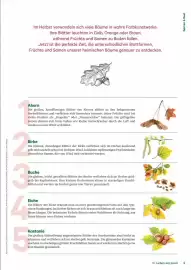 Lagerhaus Graz Land Flugblatt Seite 9