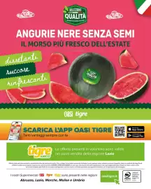 Volantino Tigre Pagina 12