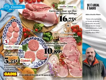 Folleto Gadis Página 2