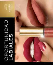 Catálogo L'bel Página 22