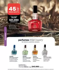 Catálogo Avon Página 100