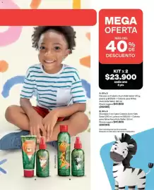 Catálogo Avon Página 209