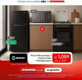 Catálogo Hiraoka Página 5