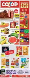 Co-op flyer Page 1