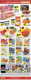 Co-op flyer Page 2