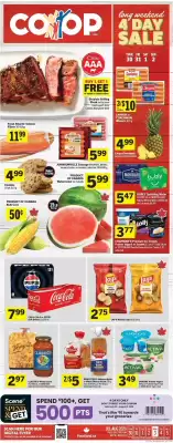 Co-op (valid until 2-08)