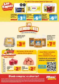 Catálogo MaxiAhorro Página 2