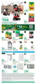 Kent flyer week 31 Page 7