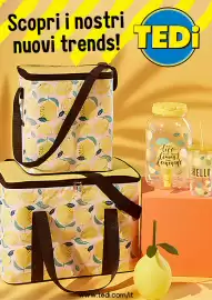 Volantino Tedi Pagina 1