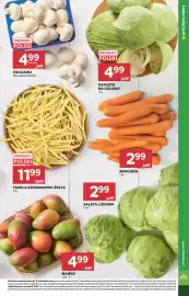 Stokrotka gazetka tydzień 31 Strona 11