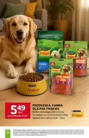 Stokrotka gazetka tydzień 31 Strona 38