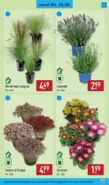 ALDI folder week 32 Pagina 31