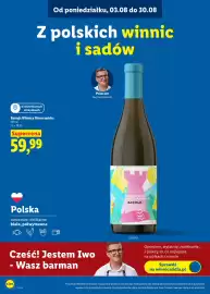 Lidl gazetka Strona 3