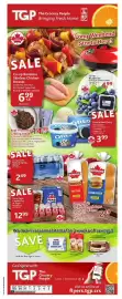 TGP The Grocery People flyer week 31 Page 1
