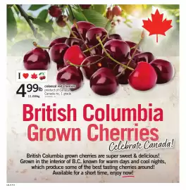 Loblaws flyer week 31 Page 7
