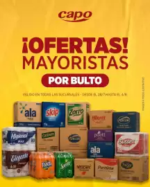Catálogo Autoservicio Capo semana 31 Página 1
