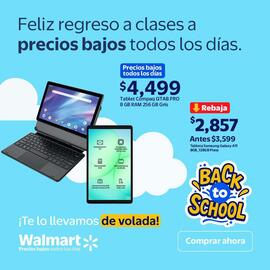 Folleto Walmart semana 31 Página 4