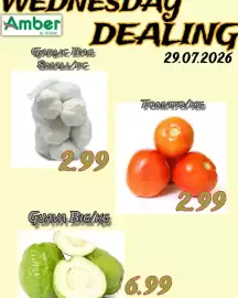 Amber catalogue Page 1