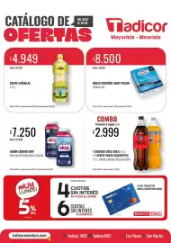 Catálogo Supermercados Tadicor semana 31 Página 1