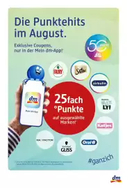 Dm Flugblatt Seite 6
