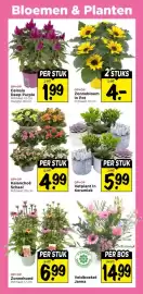 Vomar Voordeelmarkt folder Pagina 35