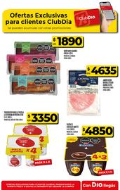 Folleto Supermercados DIA semana 31 Página 26