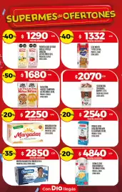 Folleto Supermercados DIA semana 31 Página 13