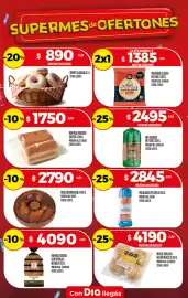Folleto Supermercados DIA semana 31 Página 14