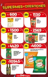 Folleto Supermercados DIA semana 31 Página 17