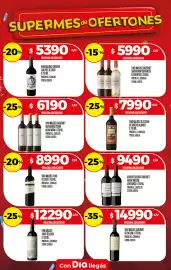 Folleto Supermercados DIA semana 31 Página 21