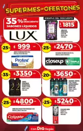 Folleto Supermercados DIA semana 31 Página 22