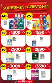 Folleto Supermercados DIA semana 31 Página 23