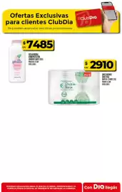 Folleto Supermercados DIA semana 31 Página 25