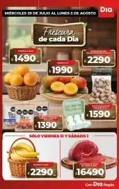 Folleto Supermercados DIA semana 31 Página 4