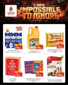 Nesto catalogue Page 1
