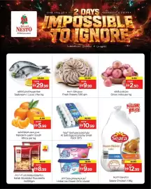 Nesto catalogue Page 3