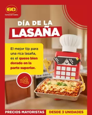 Comercial Castro (válido hasta 2-08)