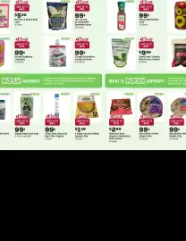 Grocery Outlet weekly ad week 31 Page 5
