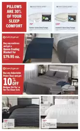 The Brick flyer Page 6