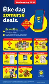Lidl folder week 32 Pagina 15