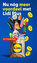 Lidl folder week 32 Pagina 44