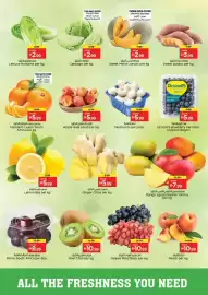 Nesto catalogue Page 2