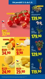 Lidl leták Strana 13