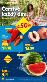 Lidl leták Strana 12