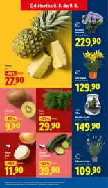 Lidl leták Strana 13