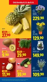 Lidl leták Strana 13