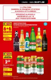 Biedronka gazetka tydzień 31 Strona 17